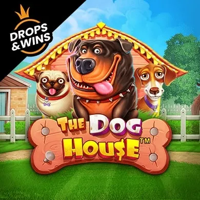 the_dog_house 7k казино